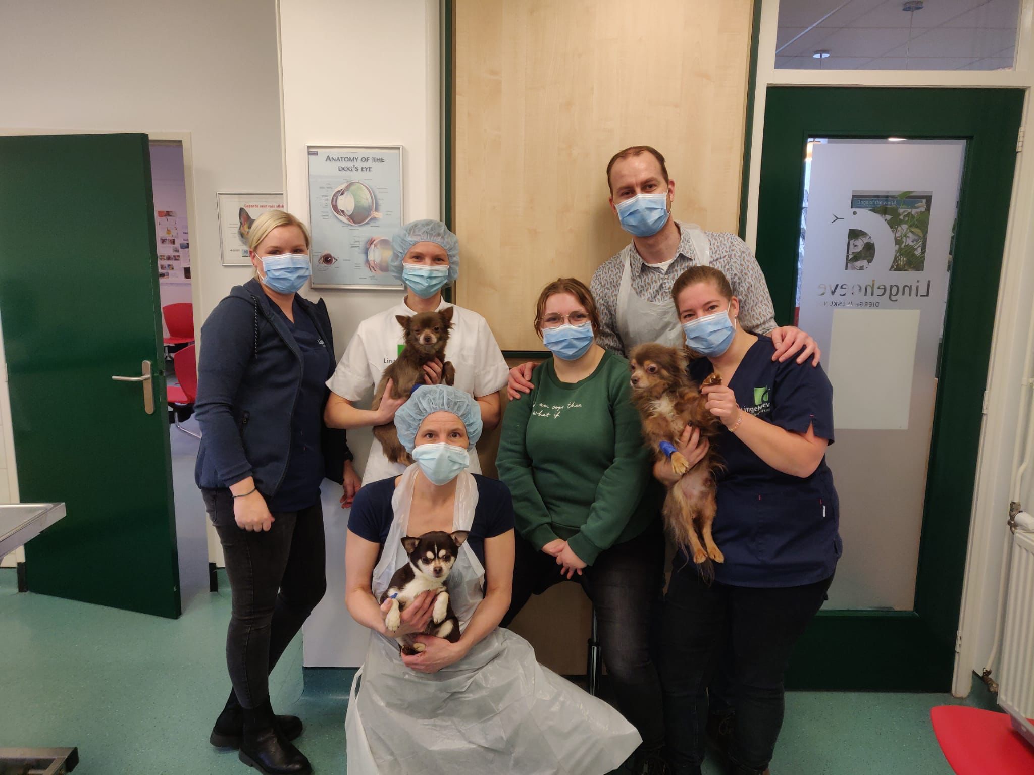 Lingehoeve Diergeneeskunde Team Tiel